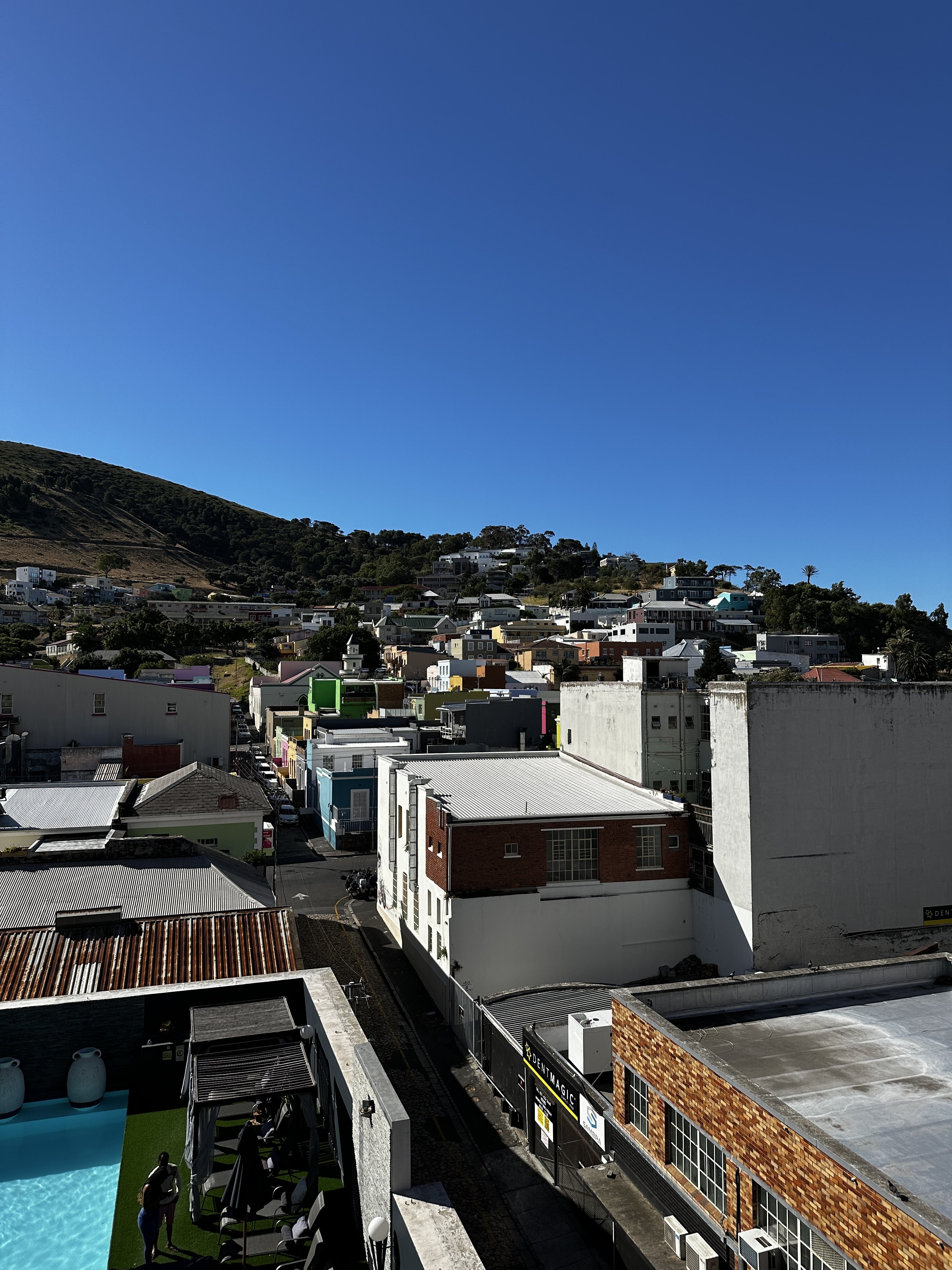 IMG_7369.jpeg