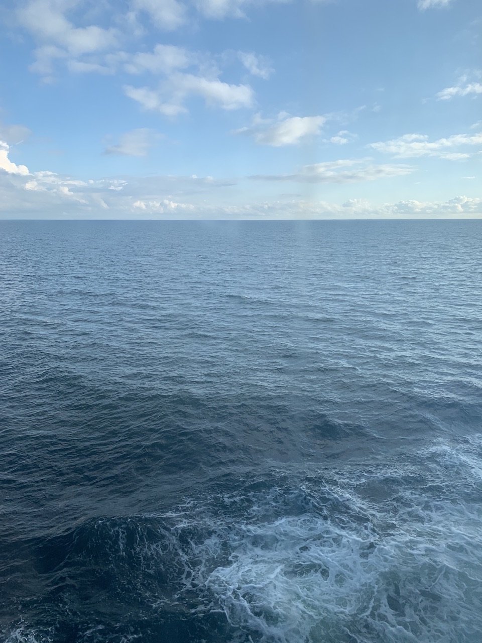 IMG_7391.jpeg