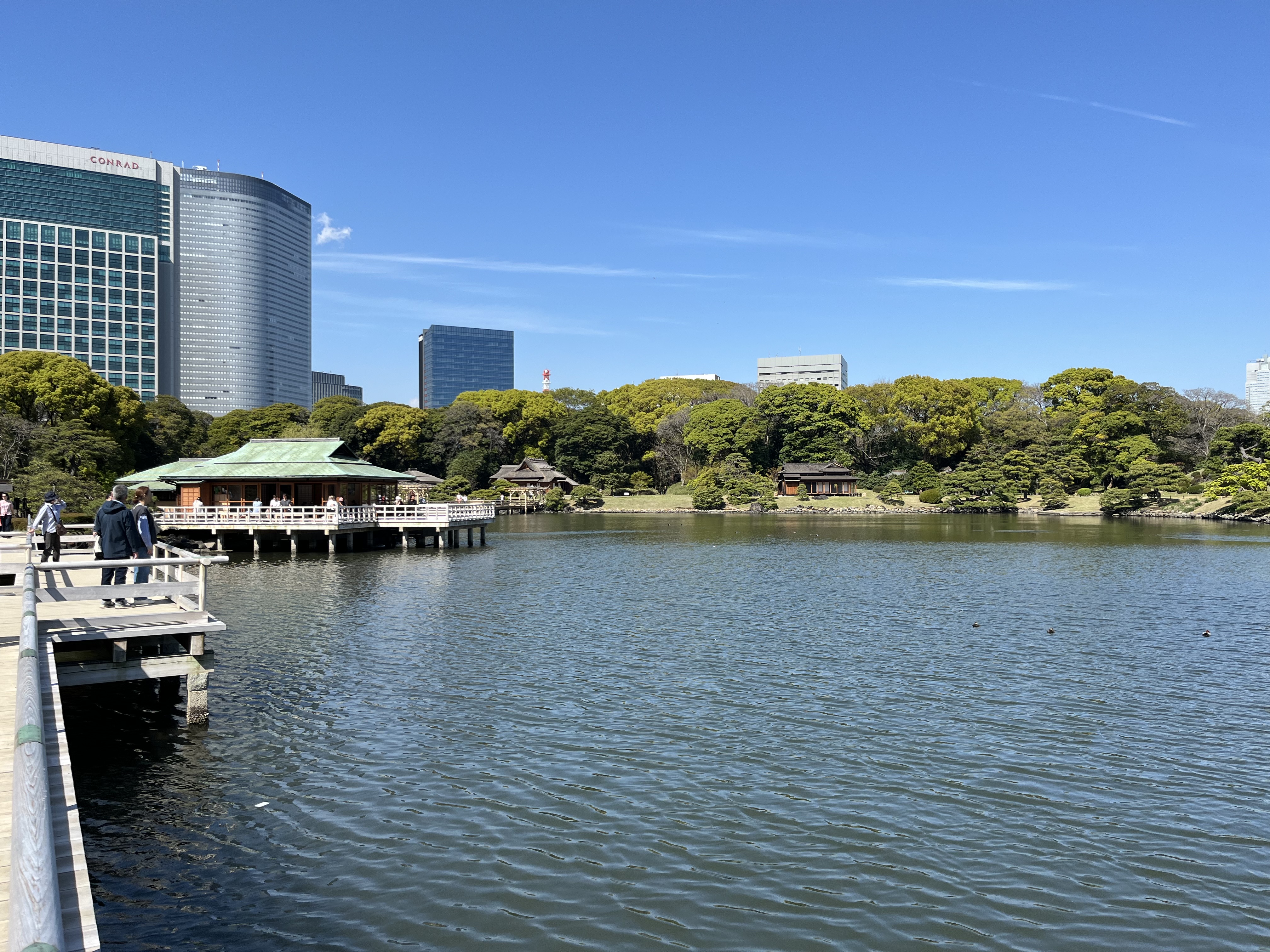 IMG_7940.jpeg