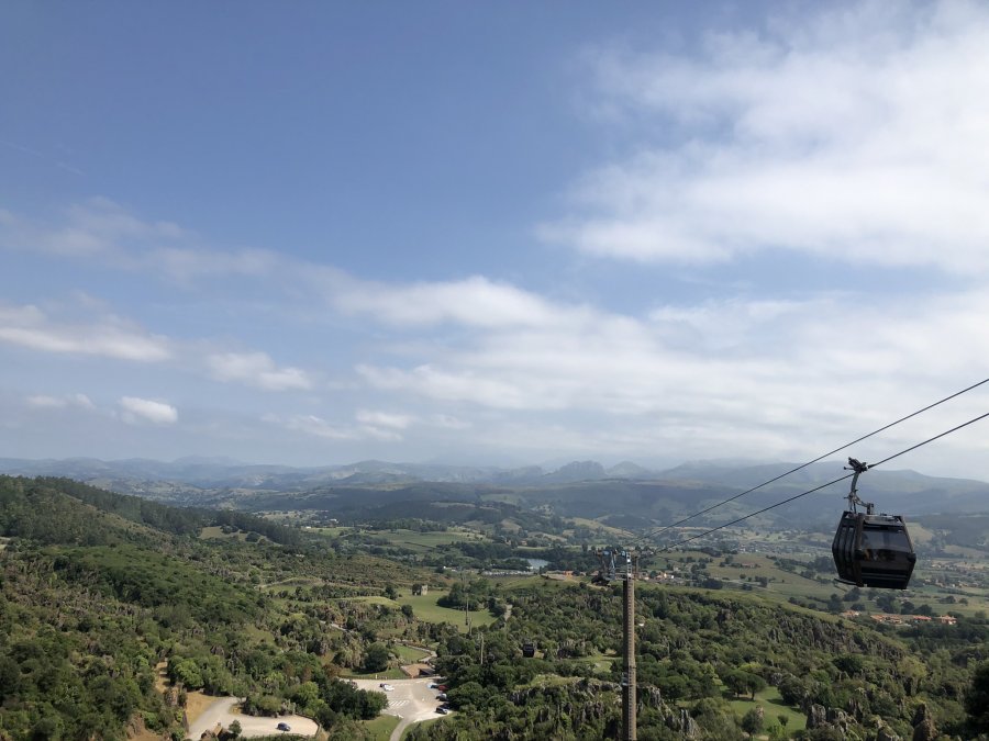 IMG_7990.jpeg