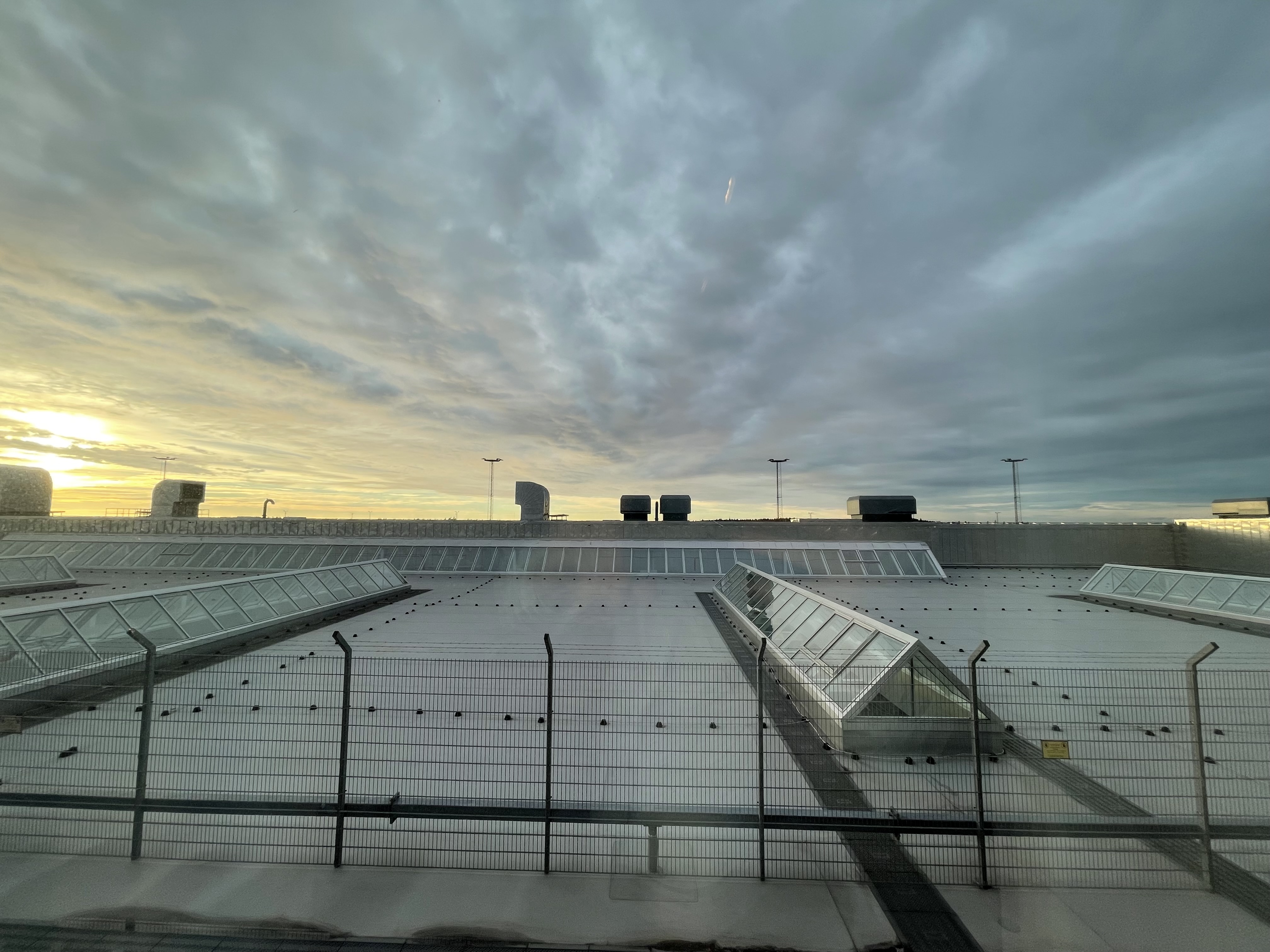 IMG_8002.jpeg
