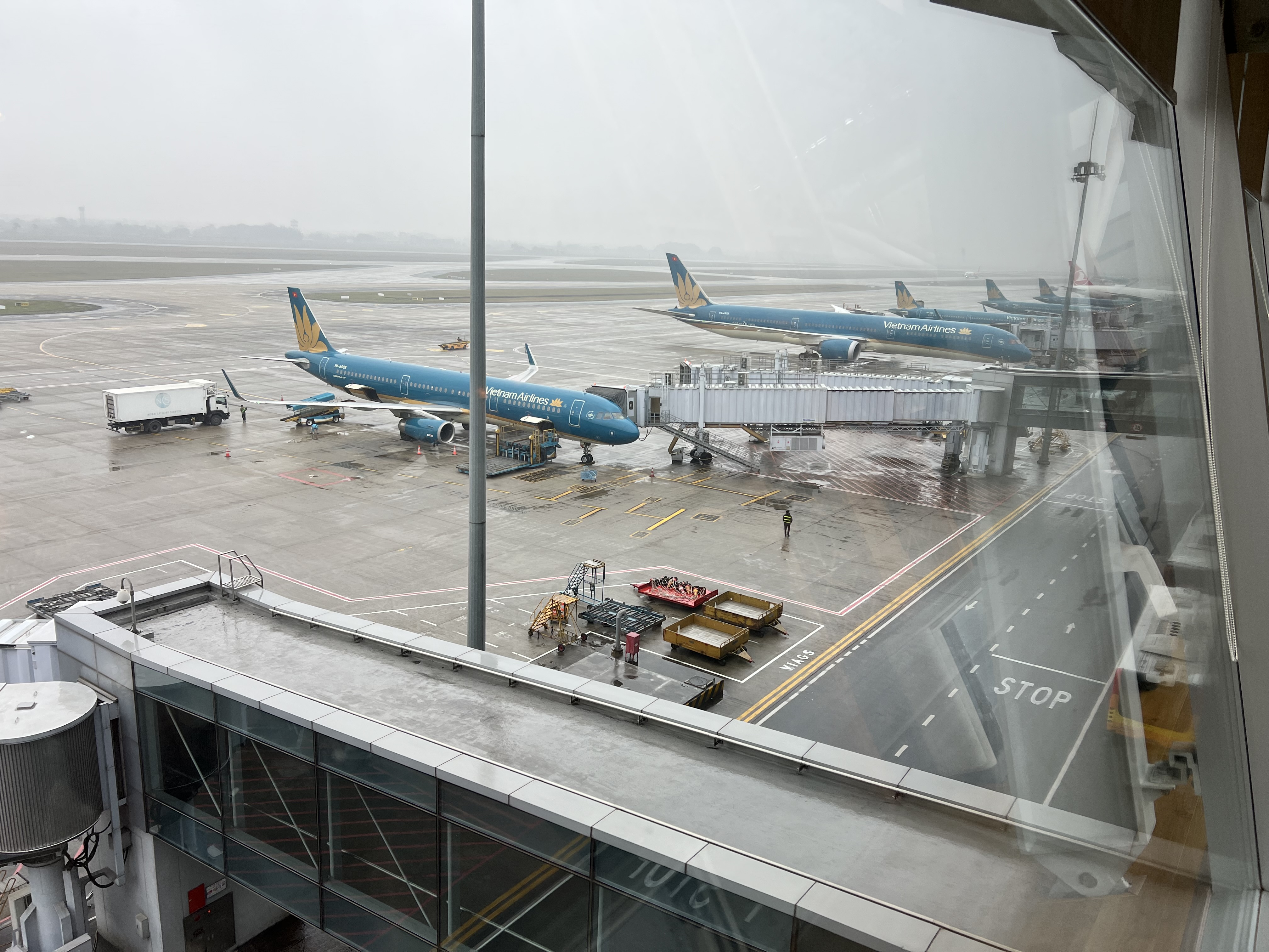 IMG_8008.jpeg