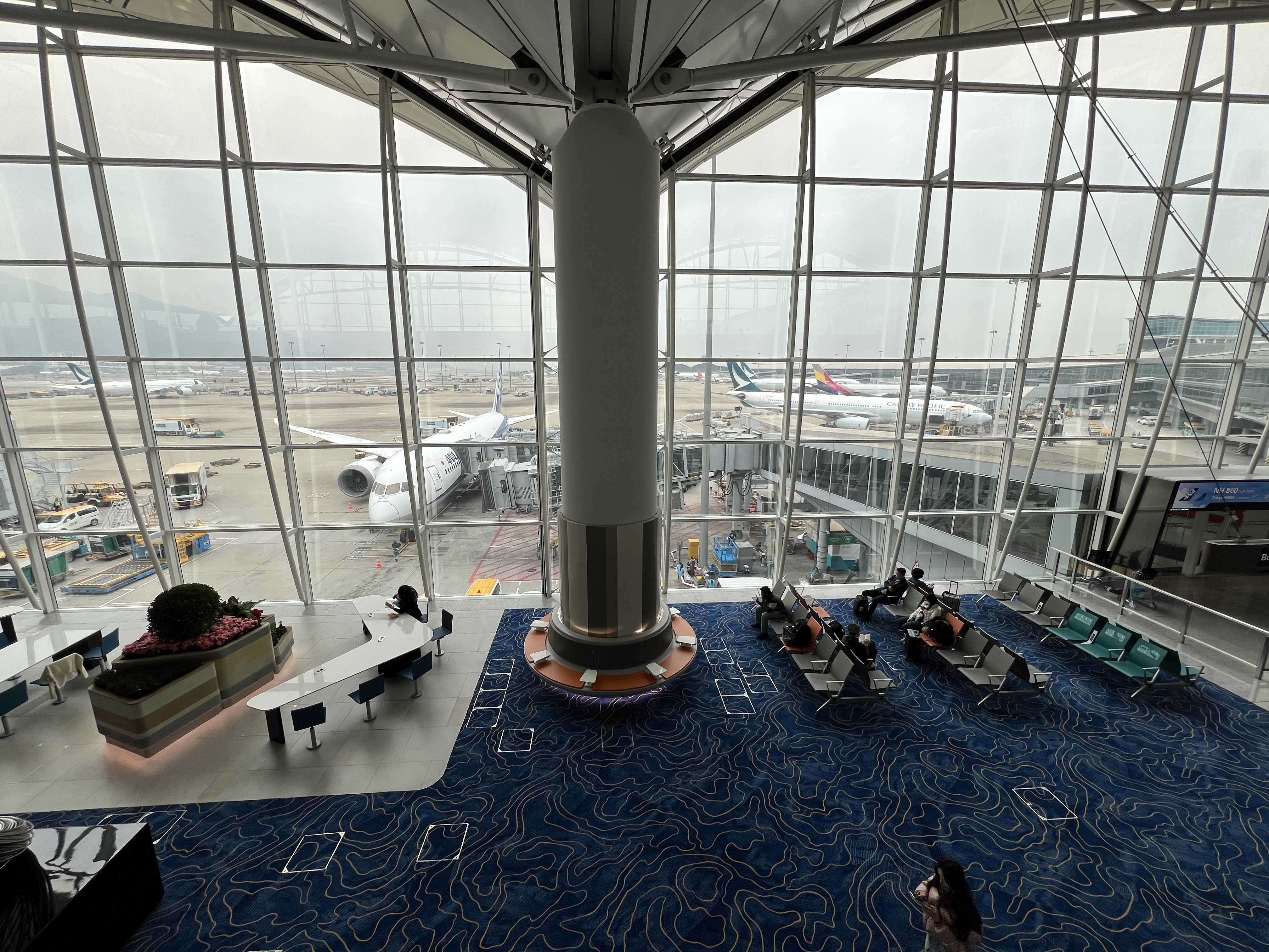 IMG_8023.jpeg