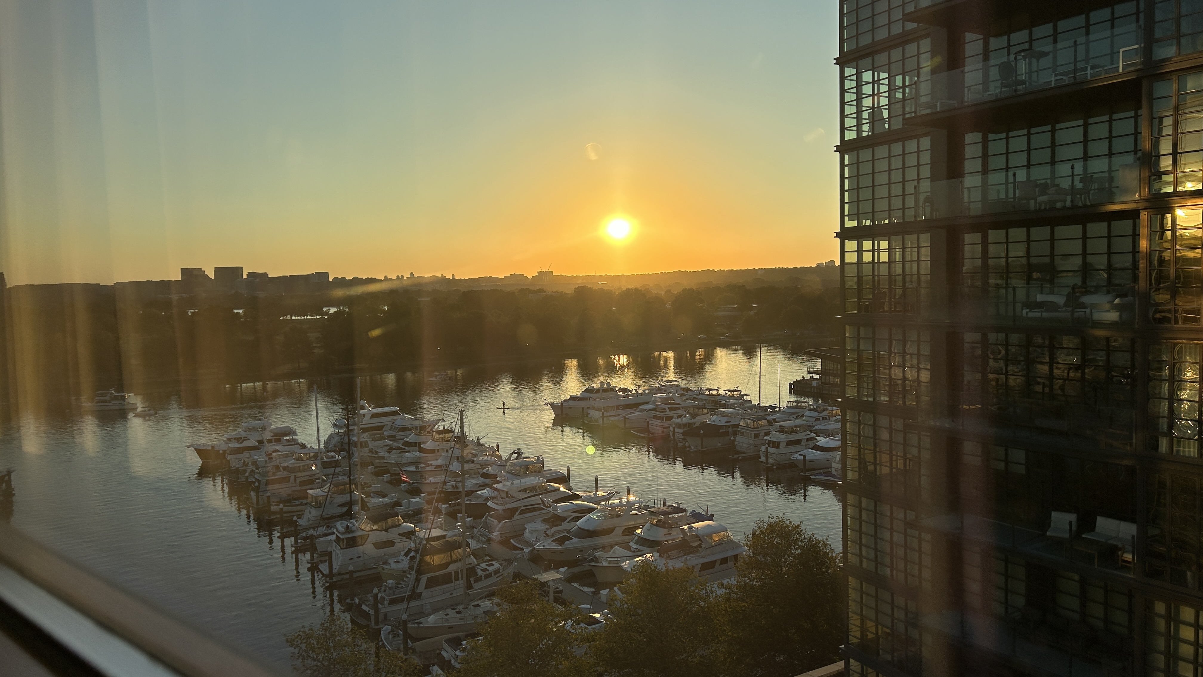 IMG_8202.jpeg