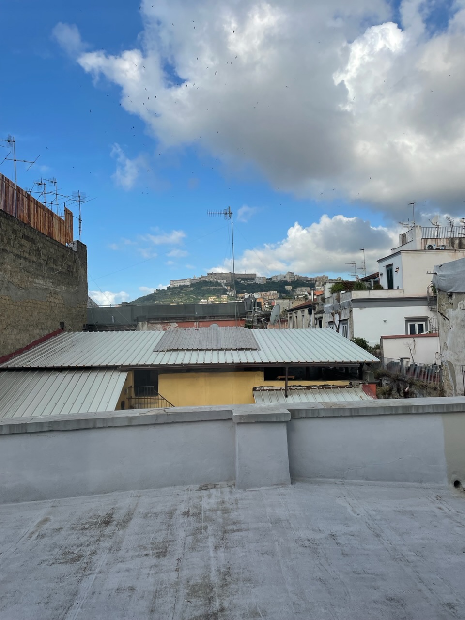 IMG_8296.jpeg