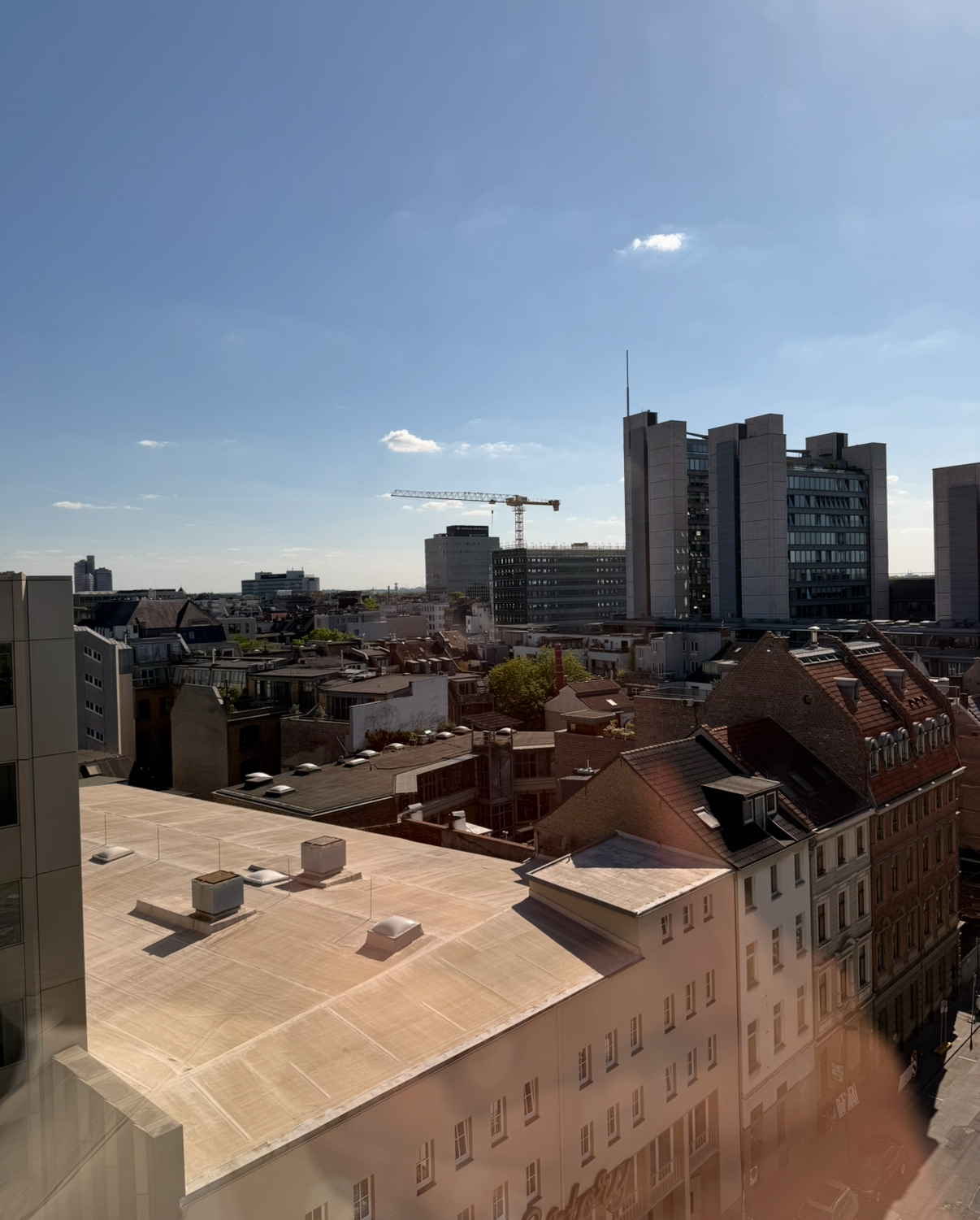 IMG_8696.jpeg