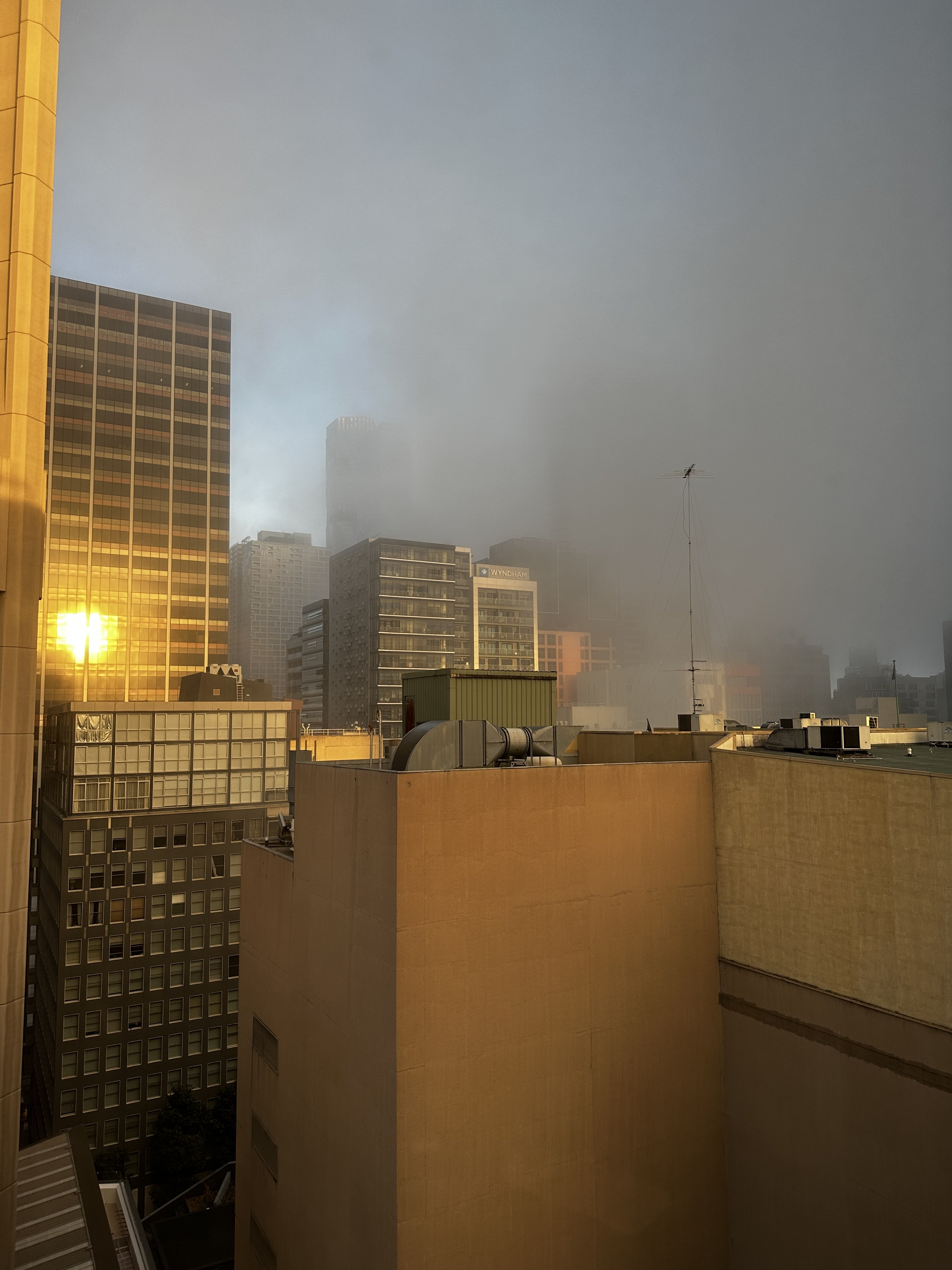 IMG_8747.jpeg