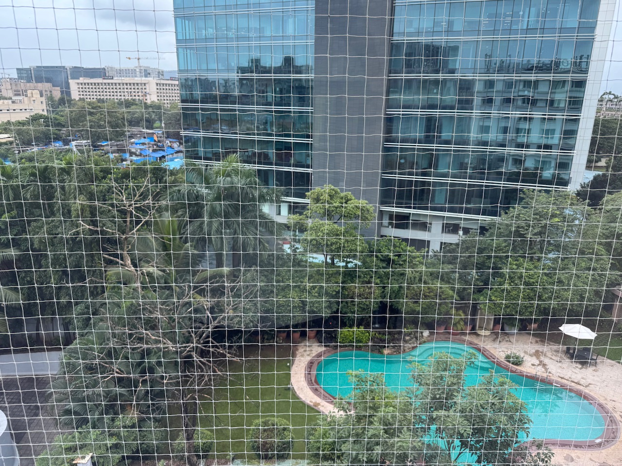 IMG_9080.jpeg
