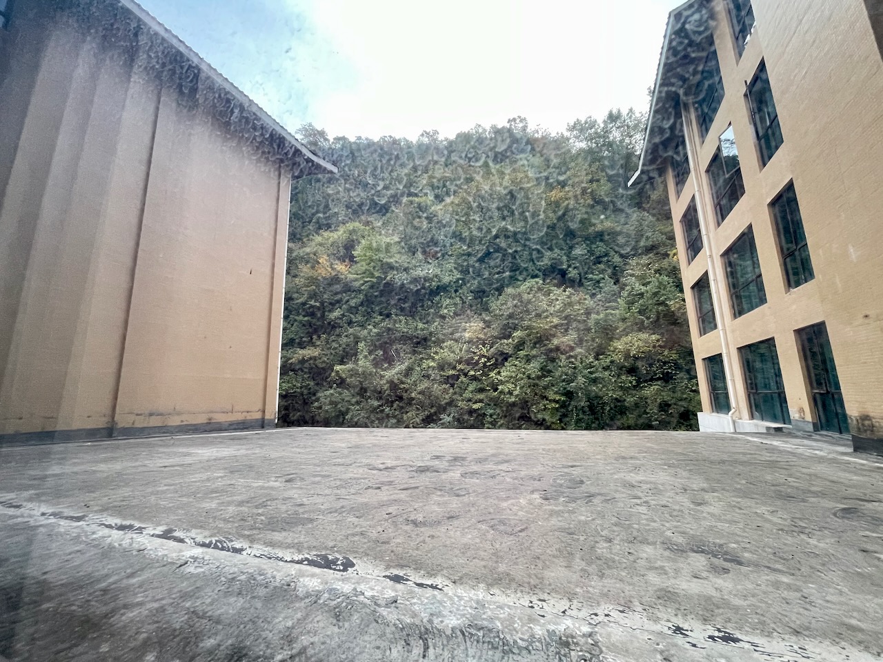 IMG_9100.jpeg