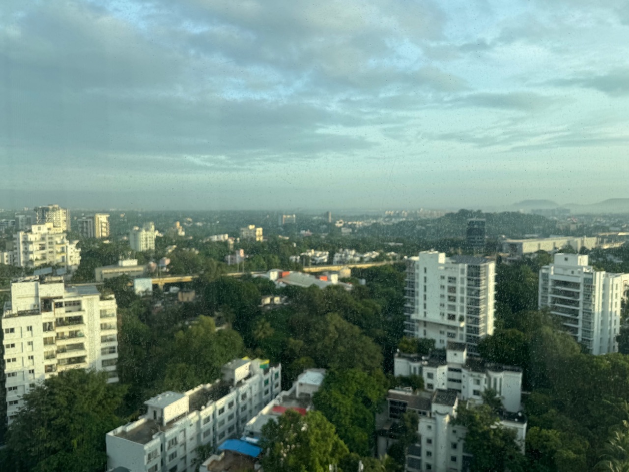 IMG_9101.jpeg