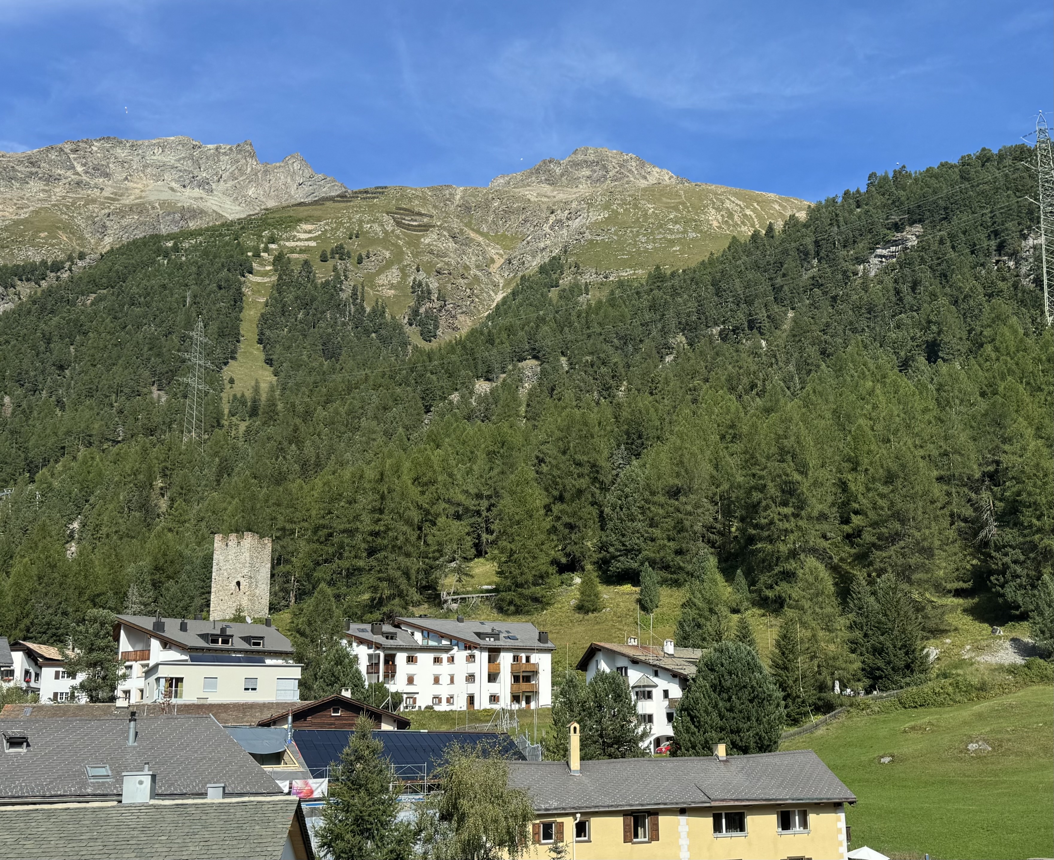 IMG_9412.jpeg