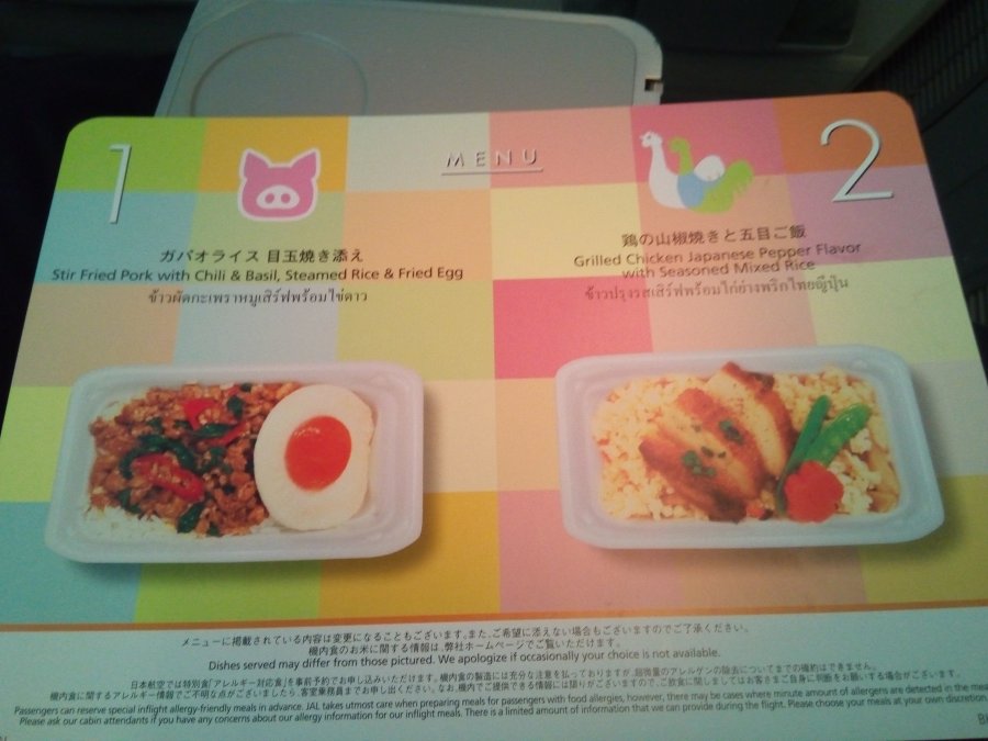 JAL BKK-HND B787 Economy, 06.jpg