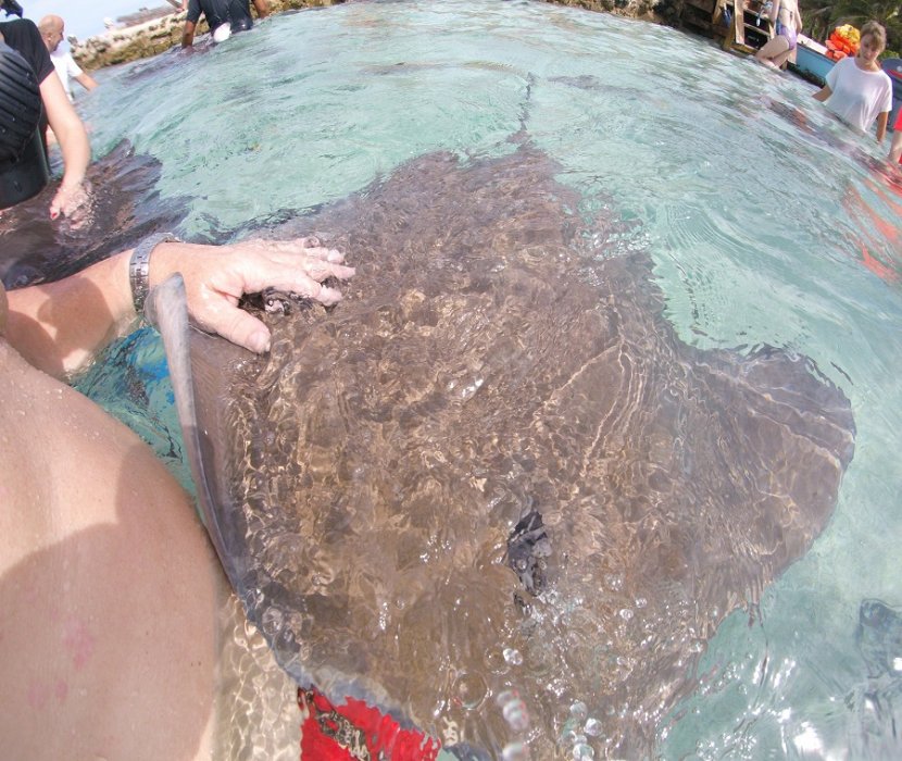 Lagoonarium 6.JPG