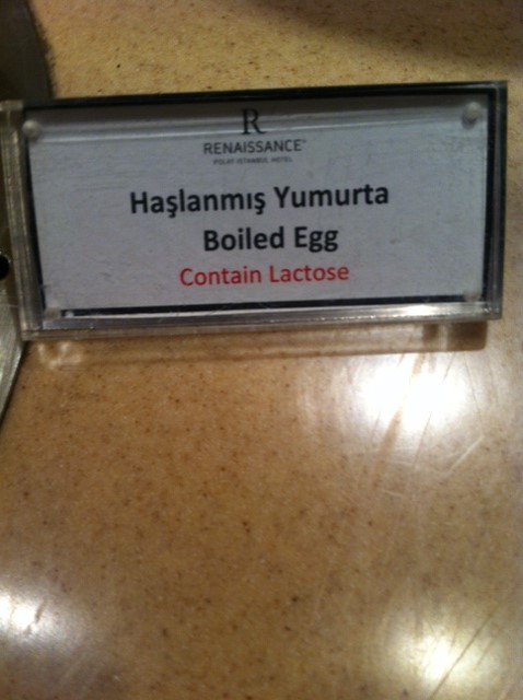 Laktosägg.JPG
