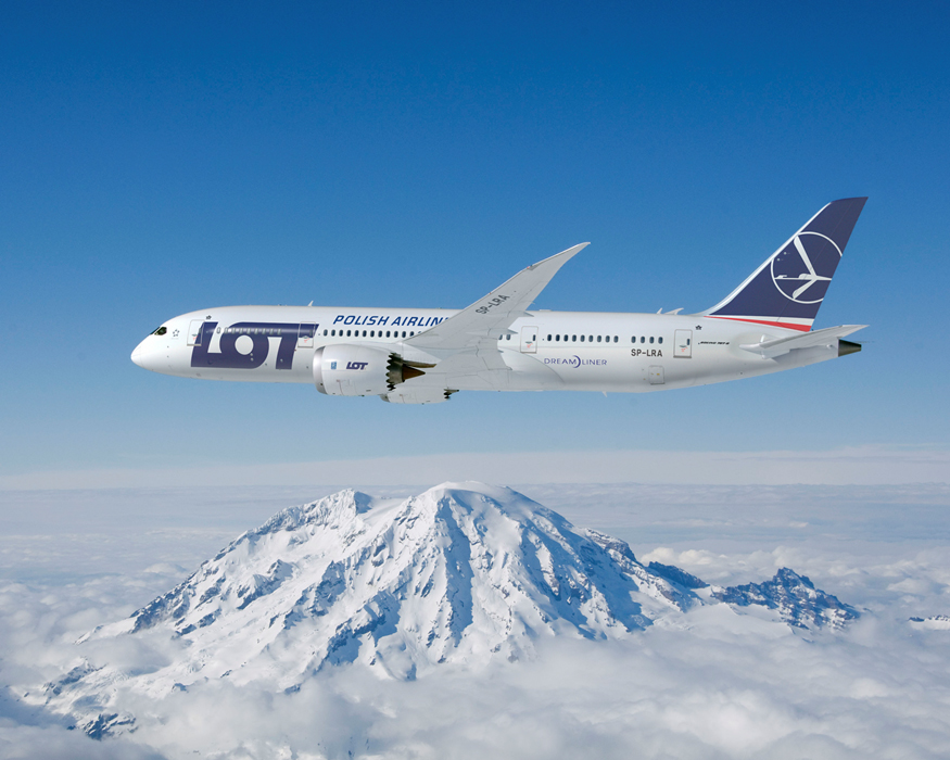 LOT_787_4.jpg
