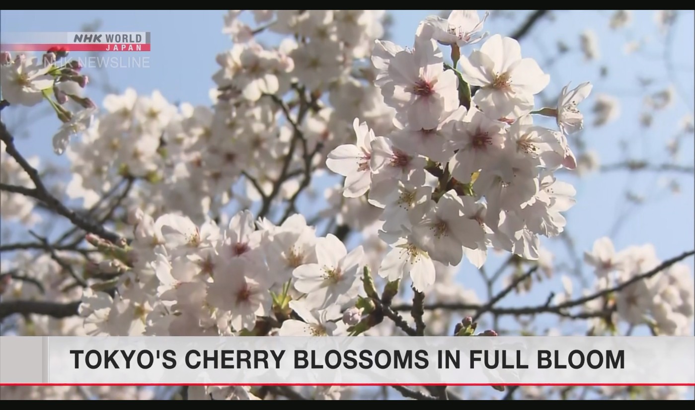 NHK World TV Newsline 03-28.jpg