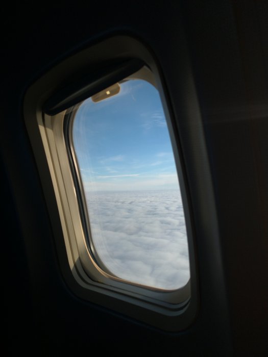 P_20201111_113631_vHDR_Auto.jpg