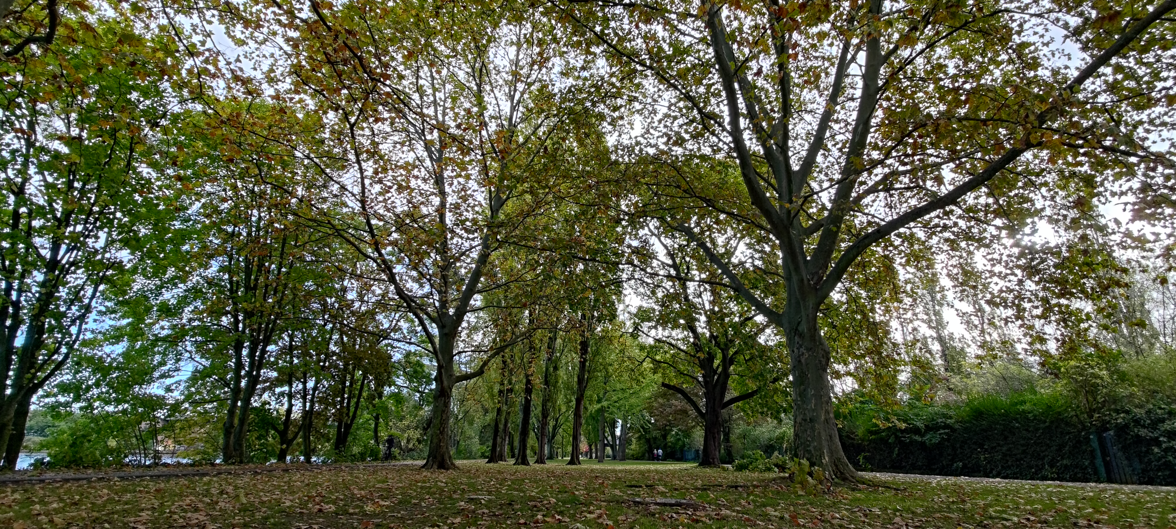 P_20231021_101219.jpg
