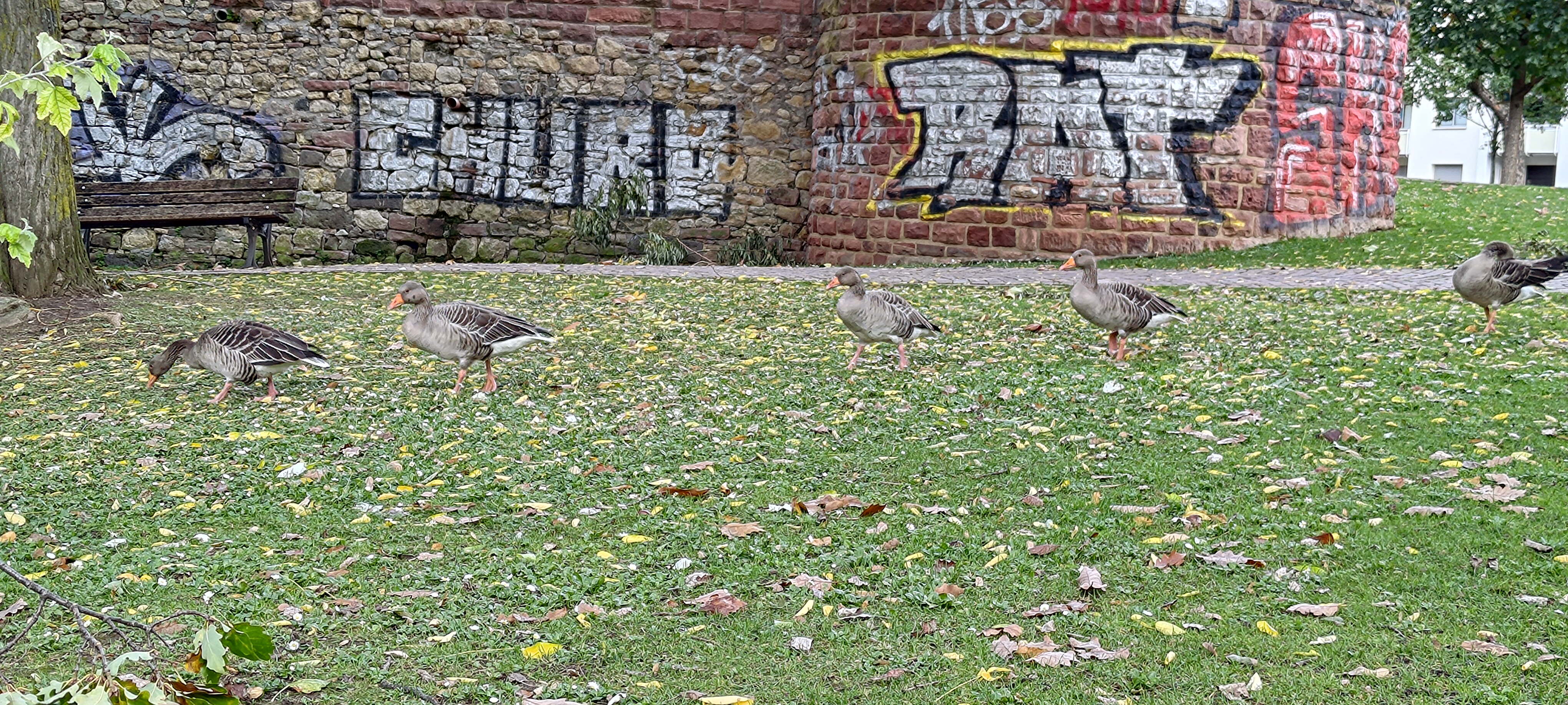P_20231021_112649.jpg