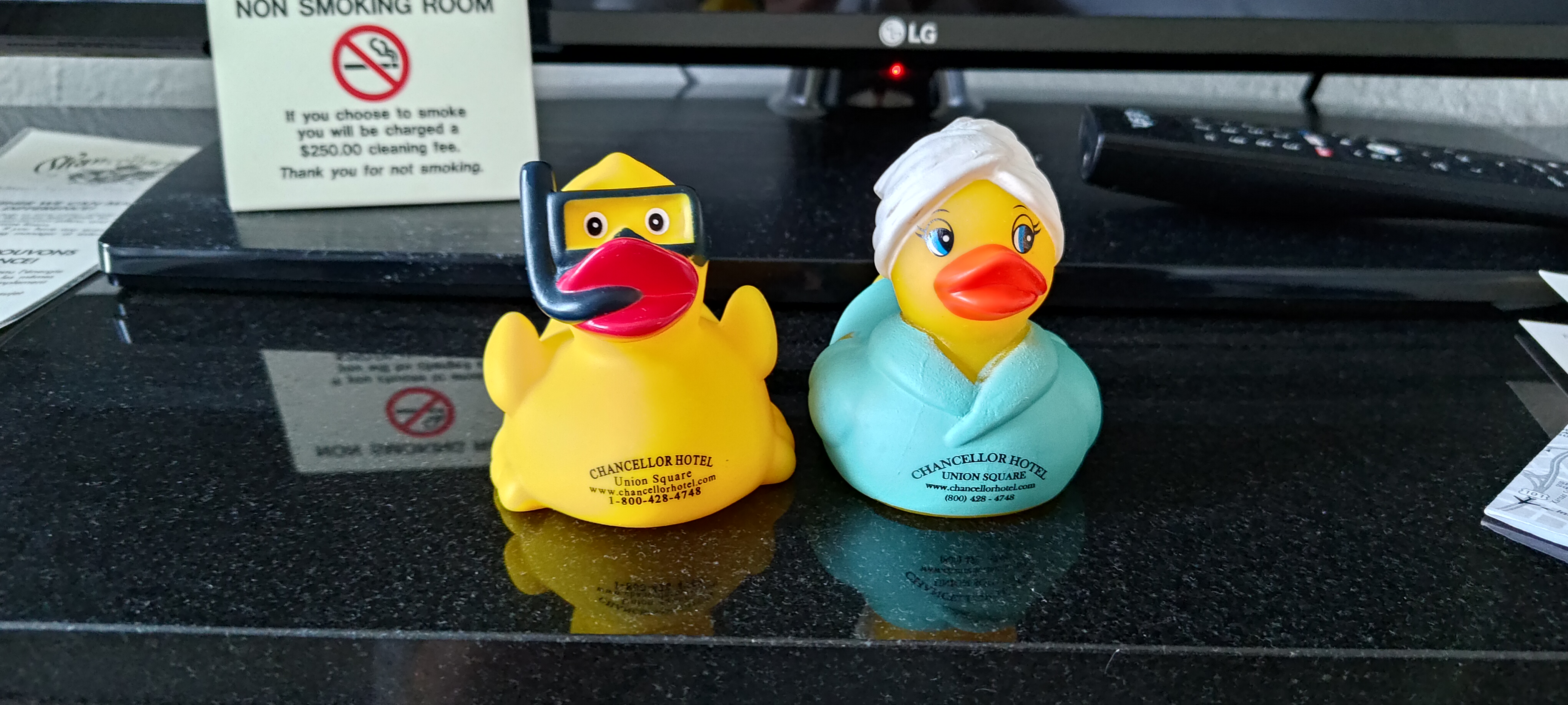 P_20231028_104732.jpg