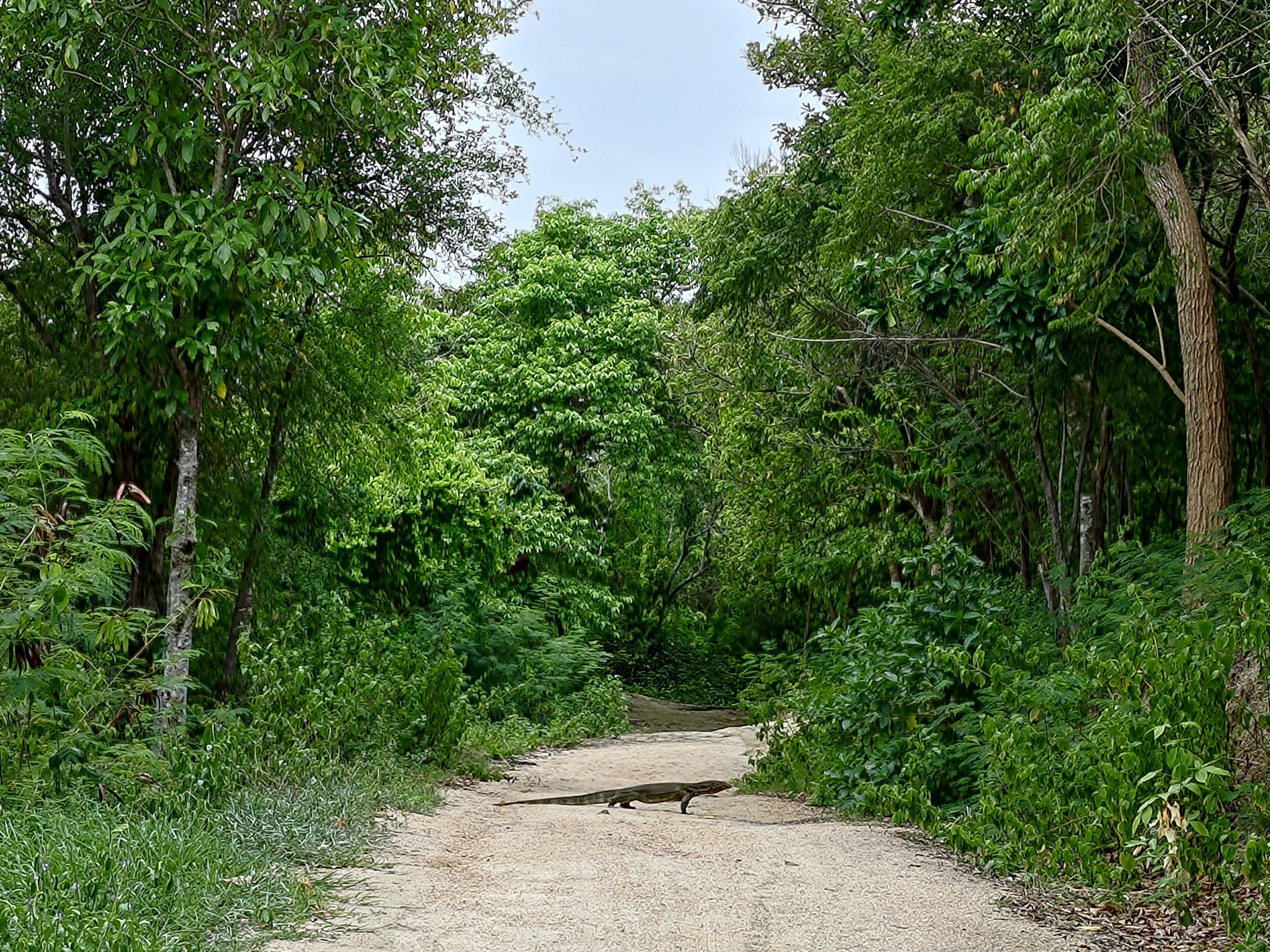 P_20240713_123716.jpg