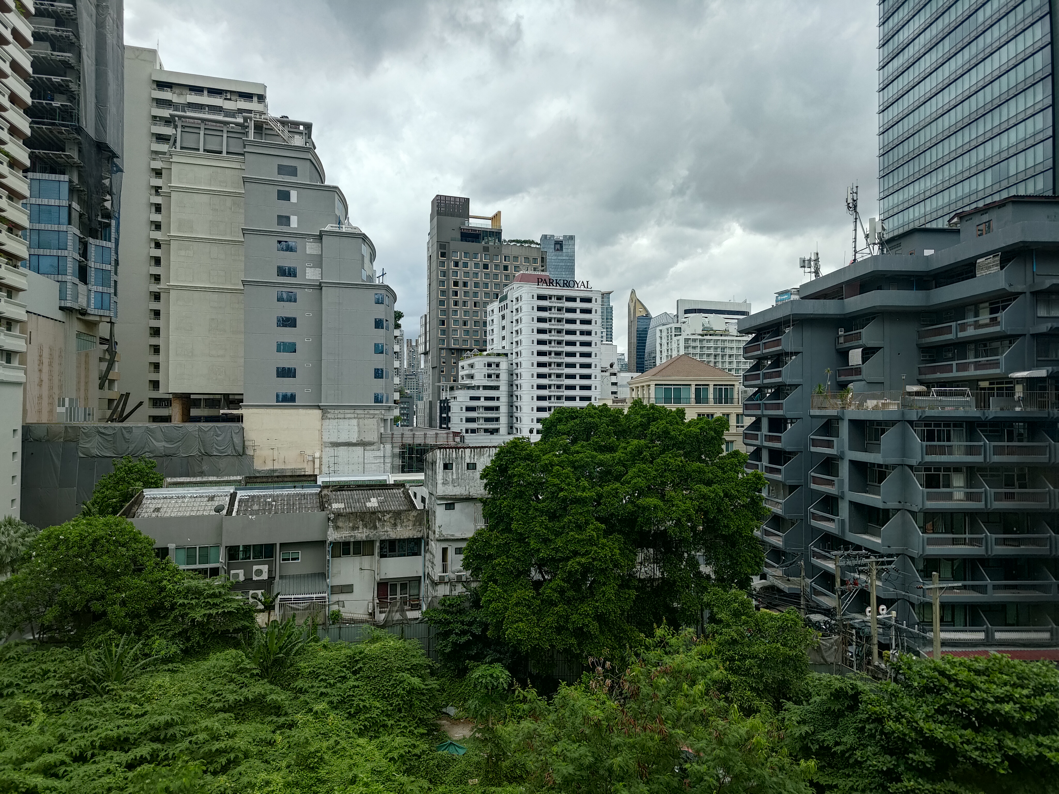 P_20240718_105459.jpg