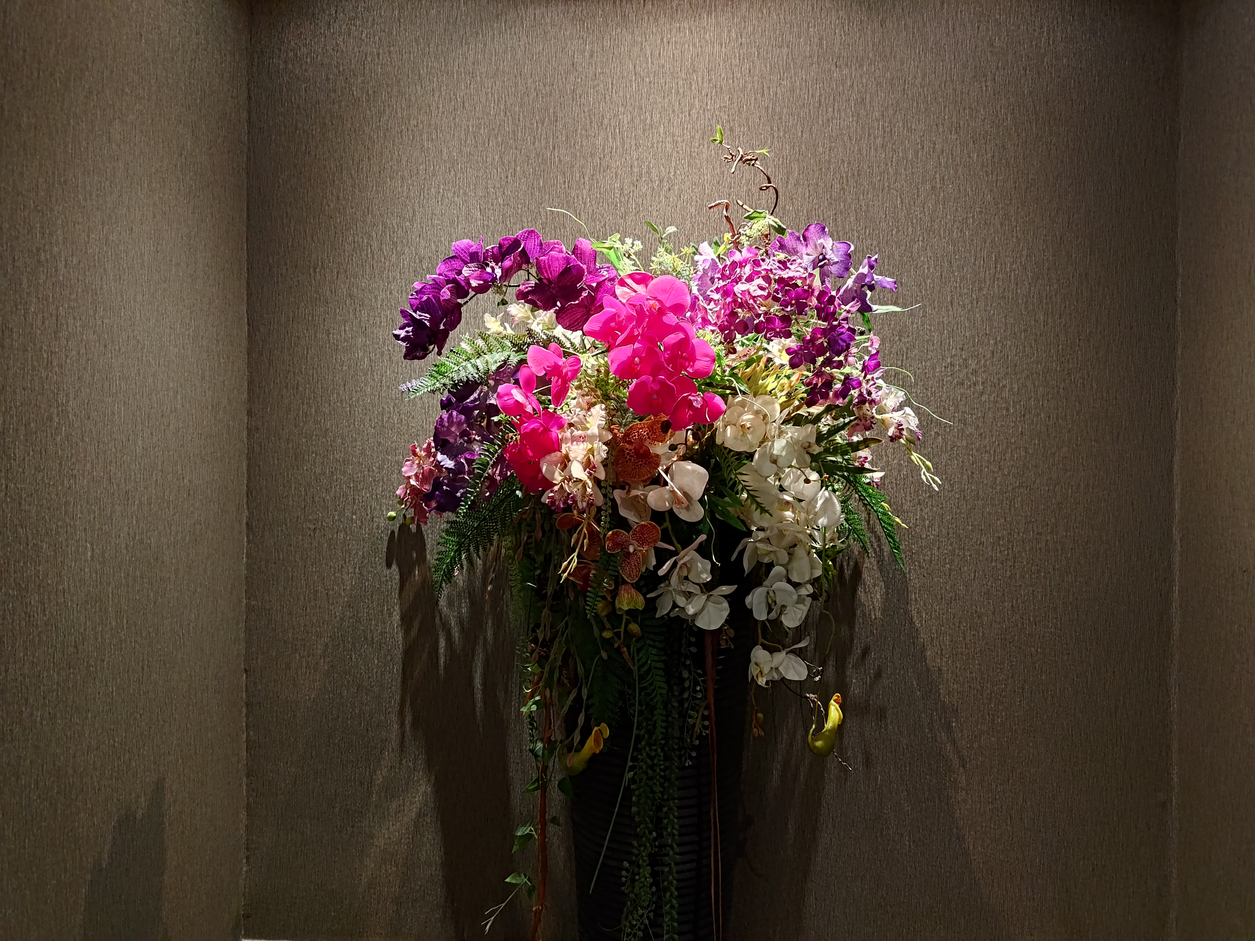 P_20240720_234333.jpg