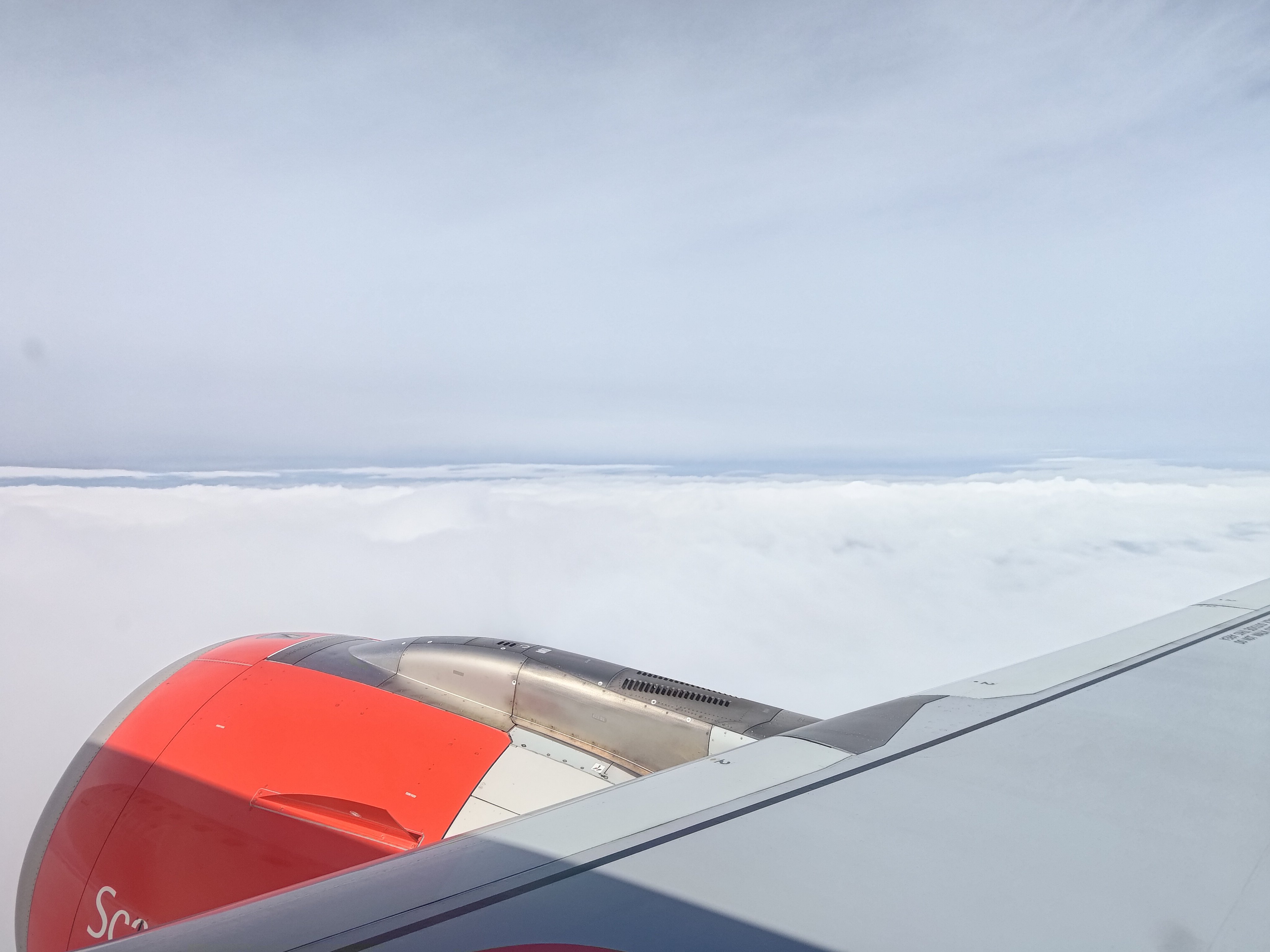 P_20240825_113709.jpg