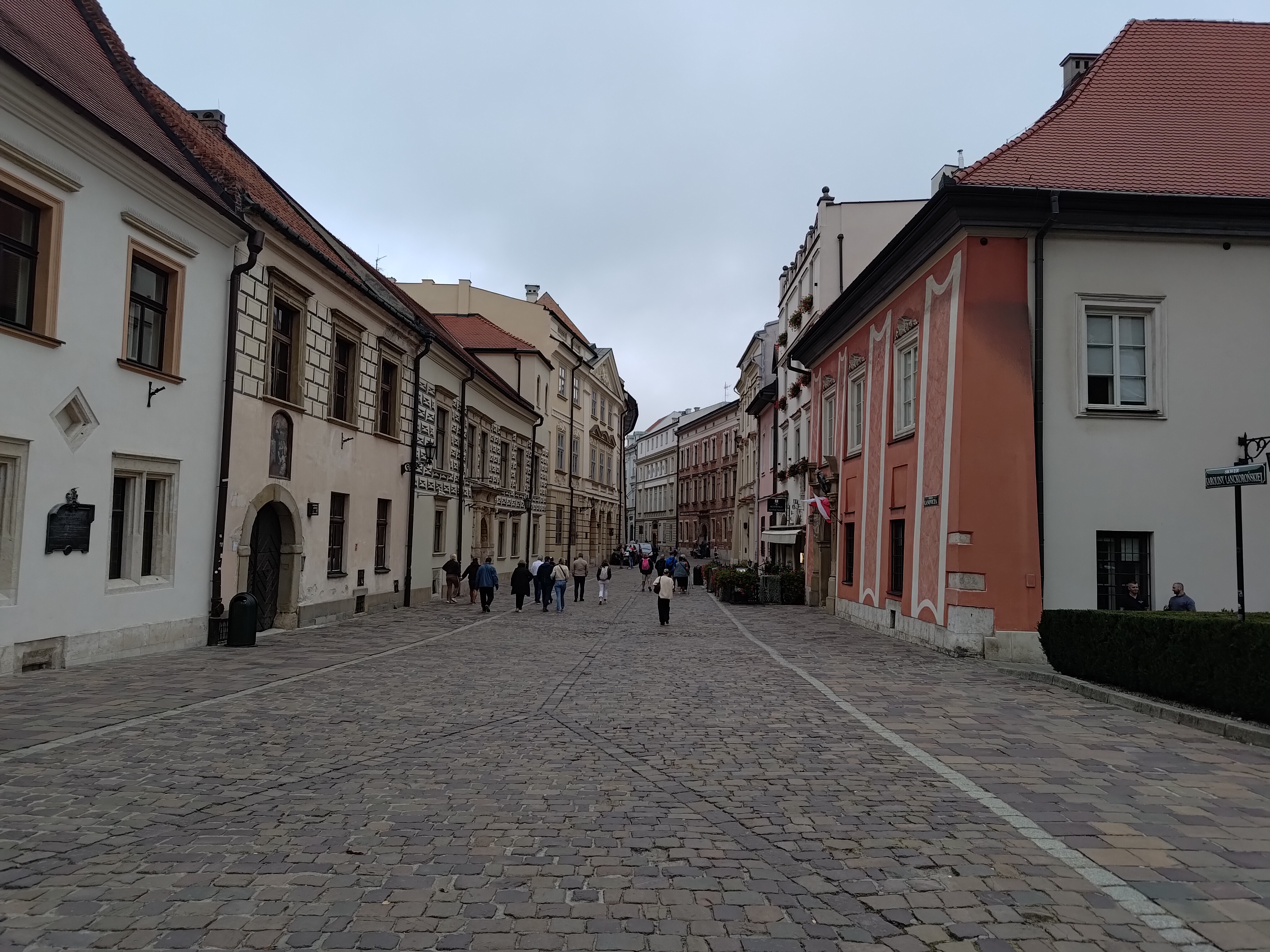 P_20240912_170324.jpg