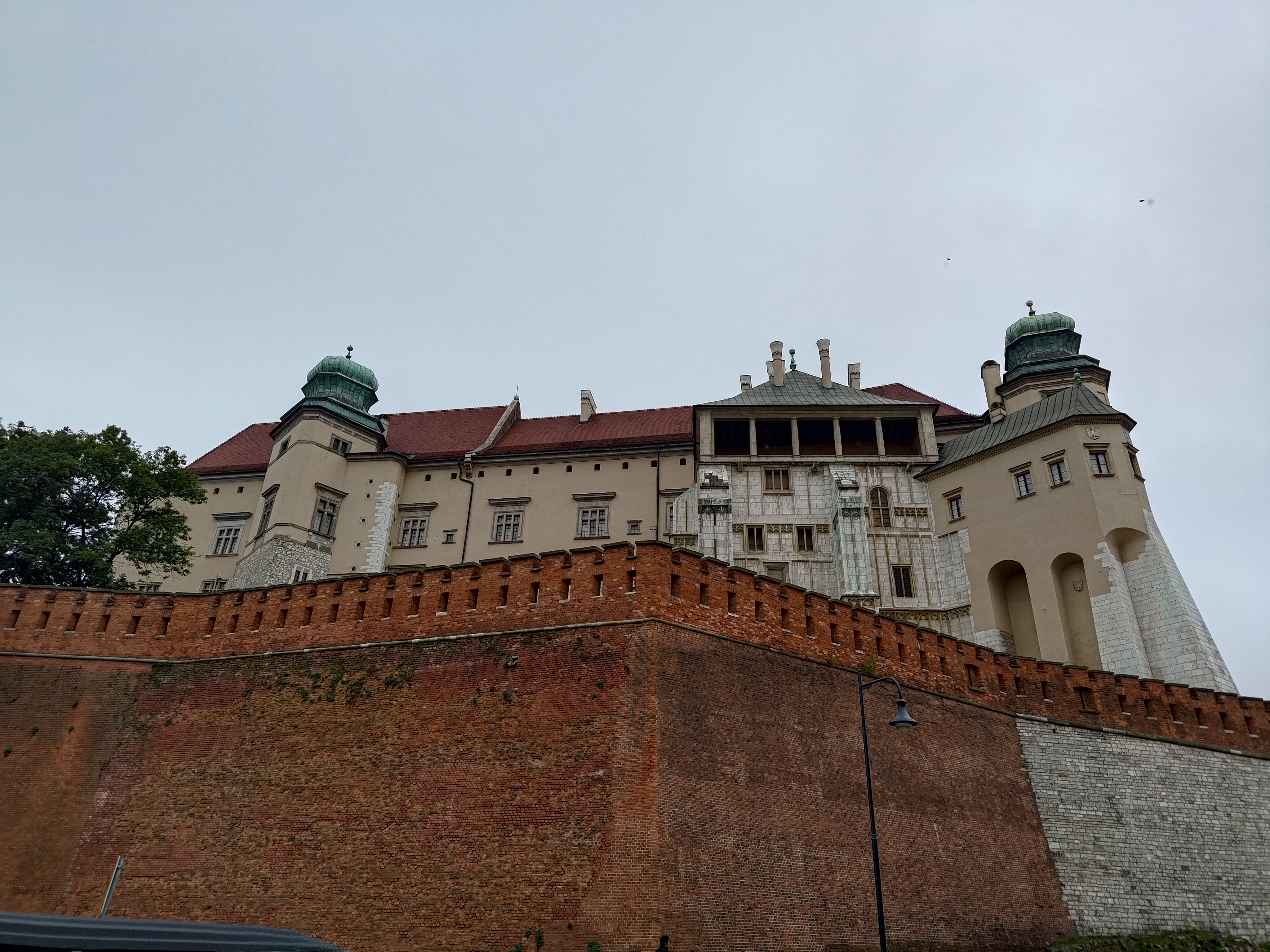 P_20240912_170507.jpg