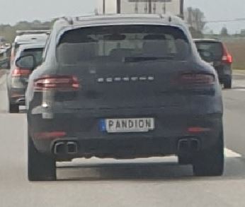 Pandion.JPG