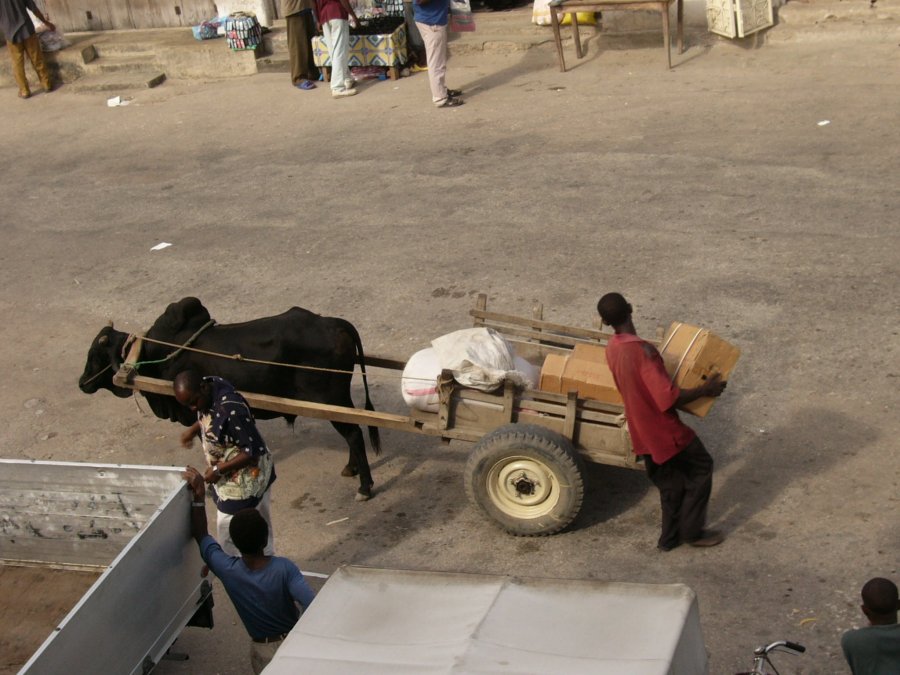 Pemba, 07.jpg