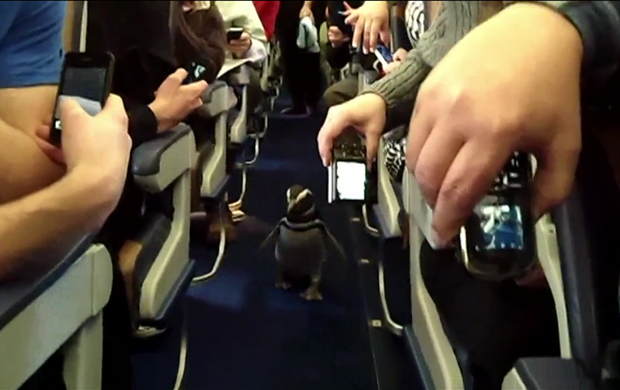 penguin3.png