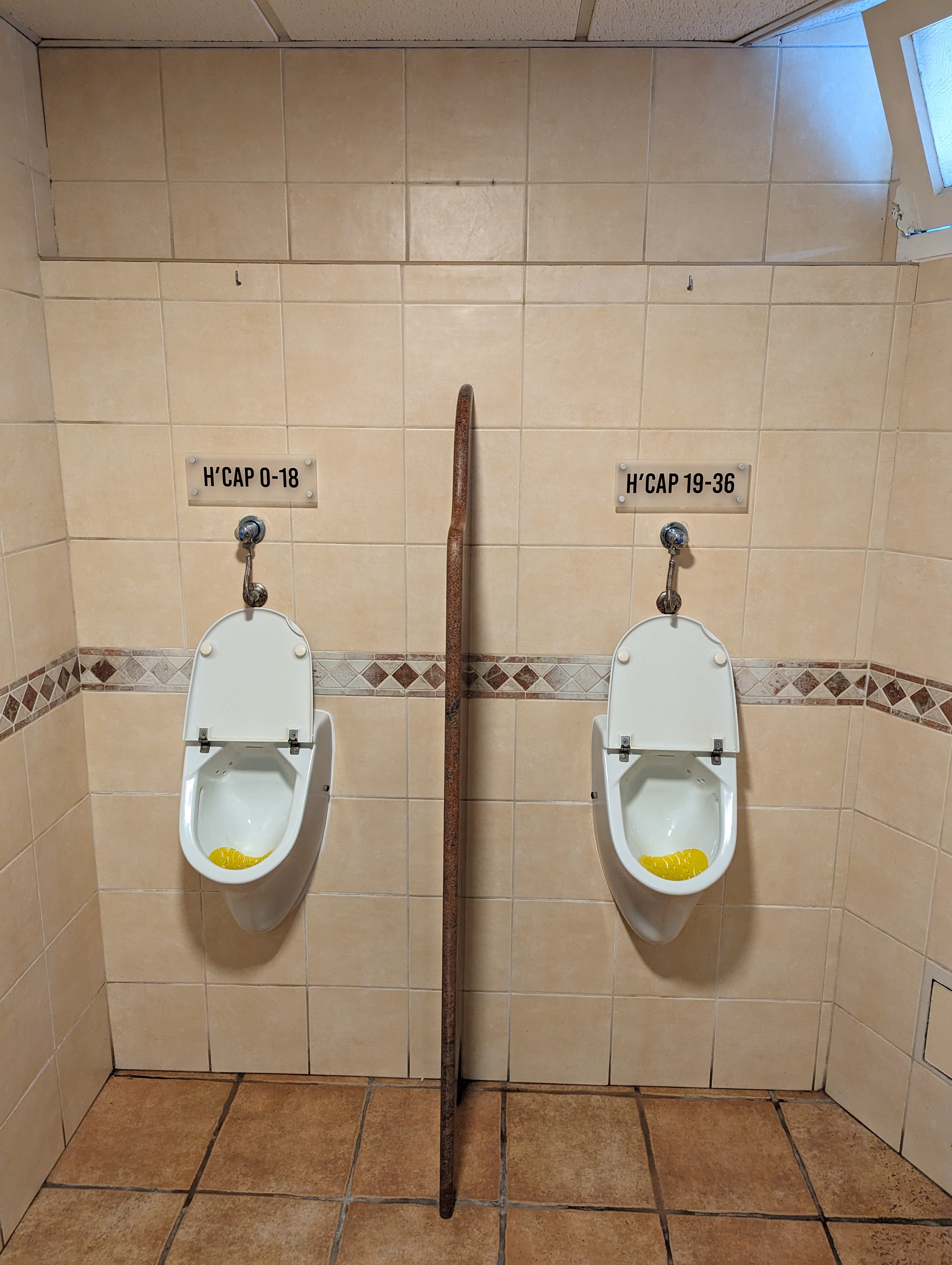 PXL_20230315_170219516.jpg