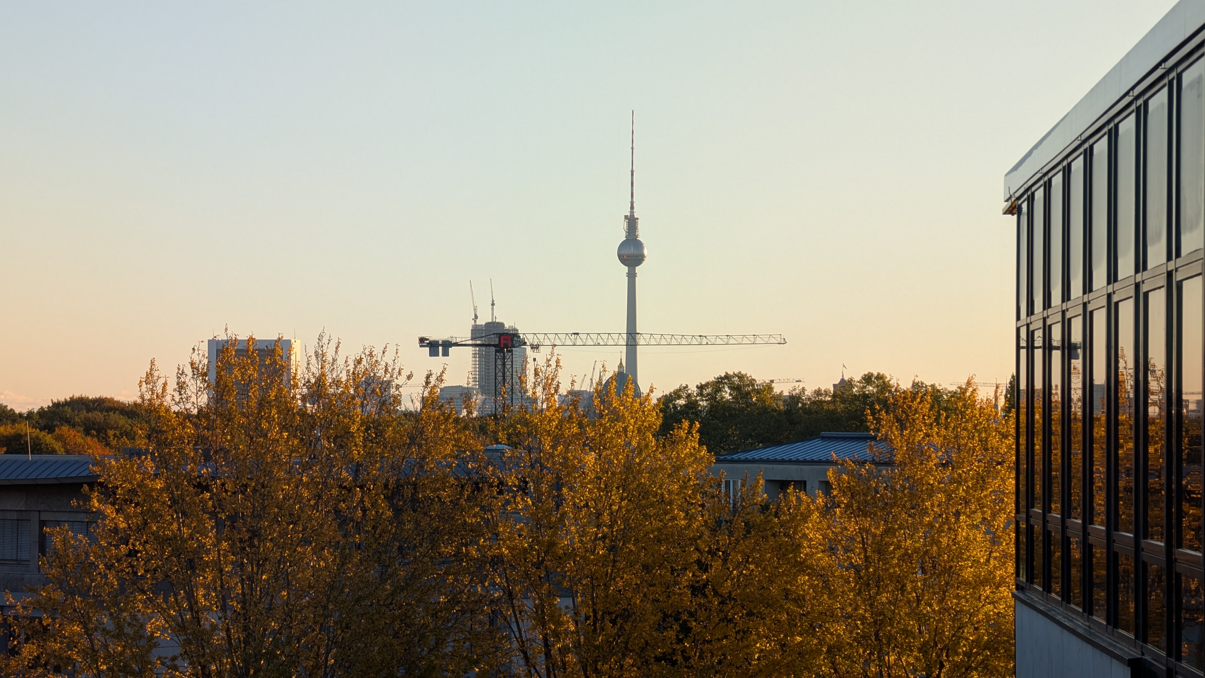 PXL_20251018_061158667.jpg