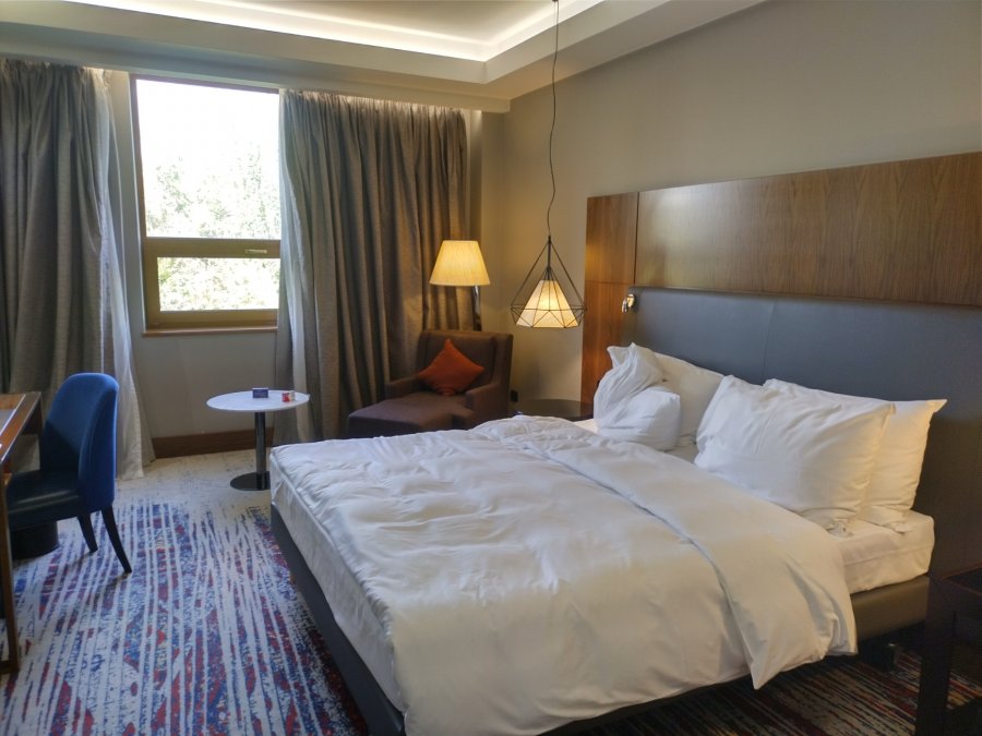 radisson2.jpg