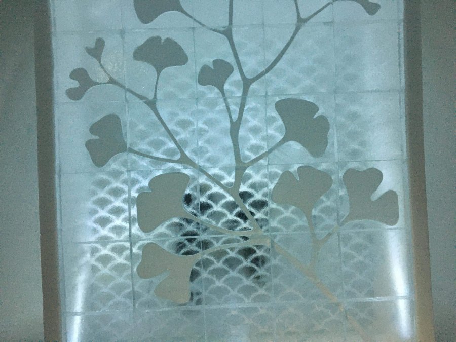 received_3003944679650890.jpeg