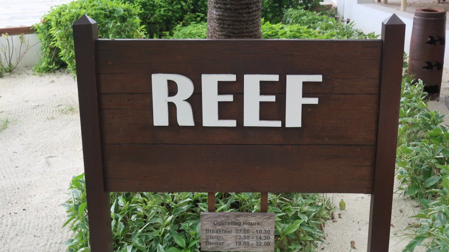 Reef.JPG