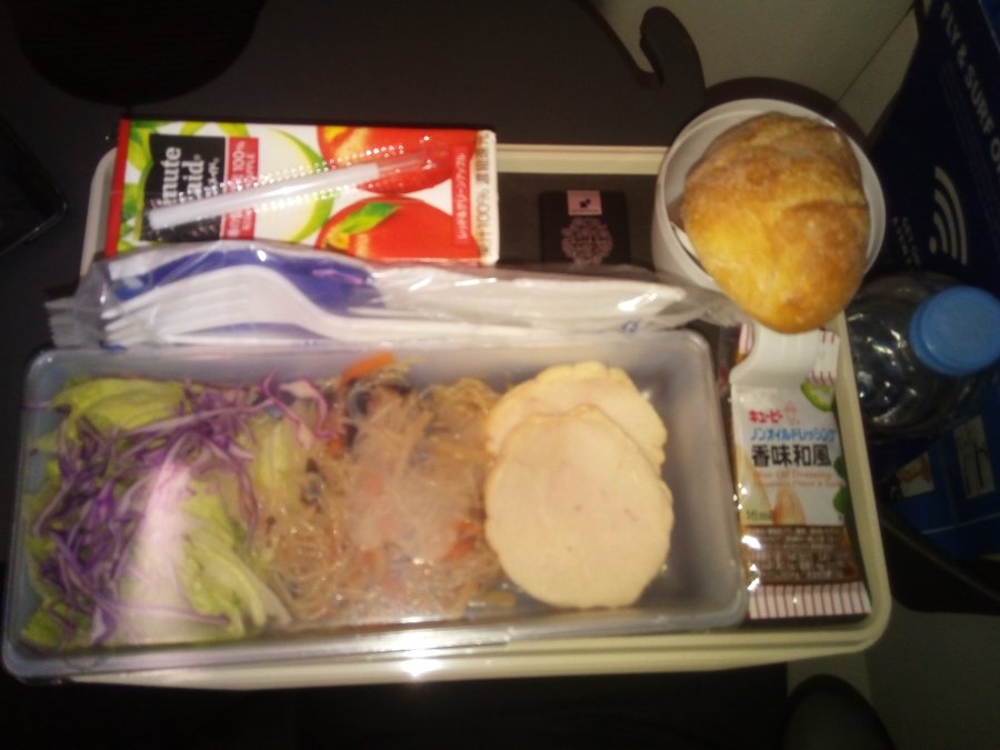 SAS NRT-CPH A340 Economy, 06.jpg