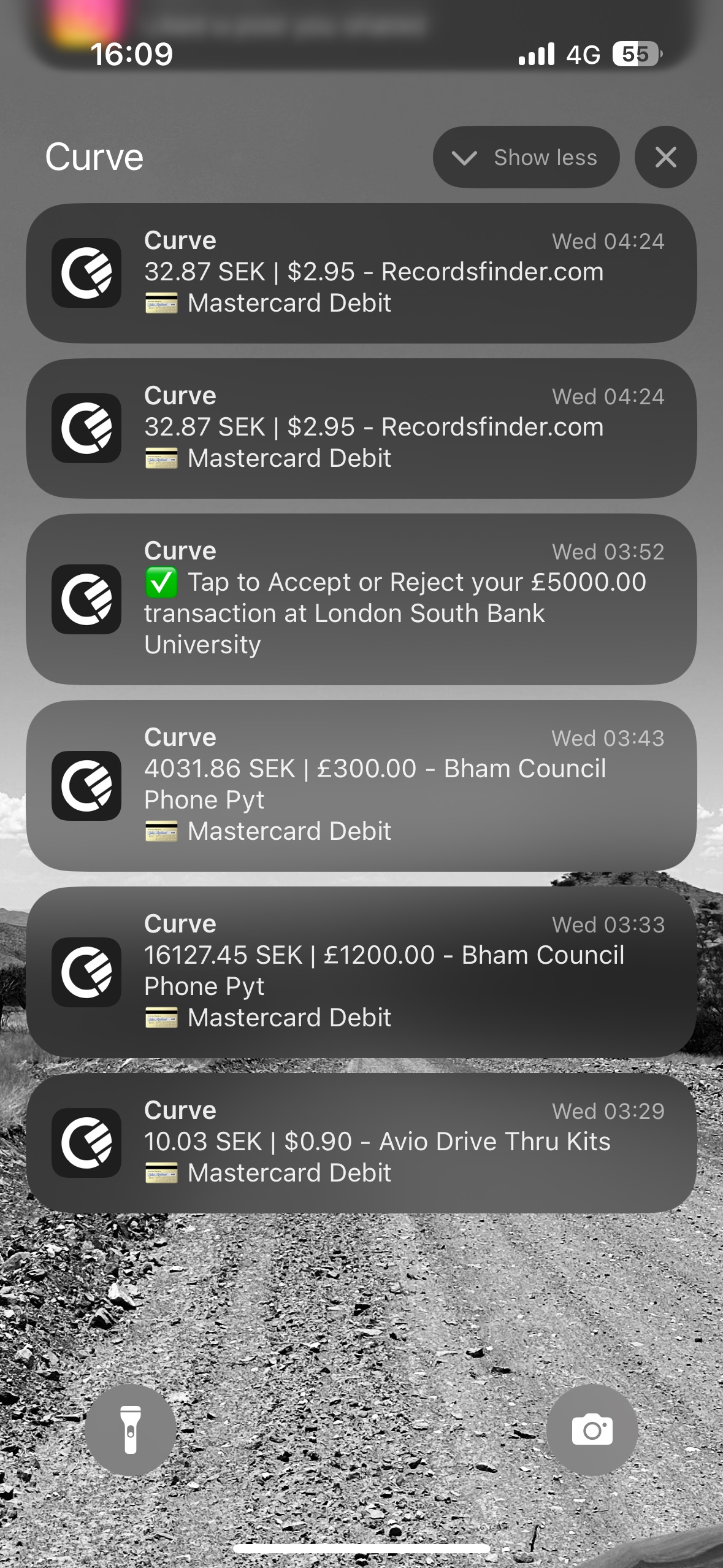 scam.jpg
