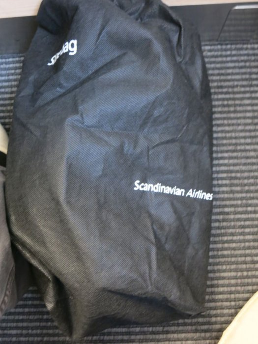 Shoe bag.jpg