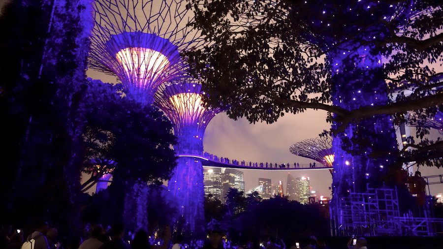 singapore.1.JPG