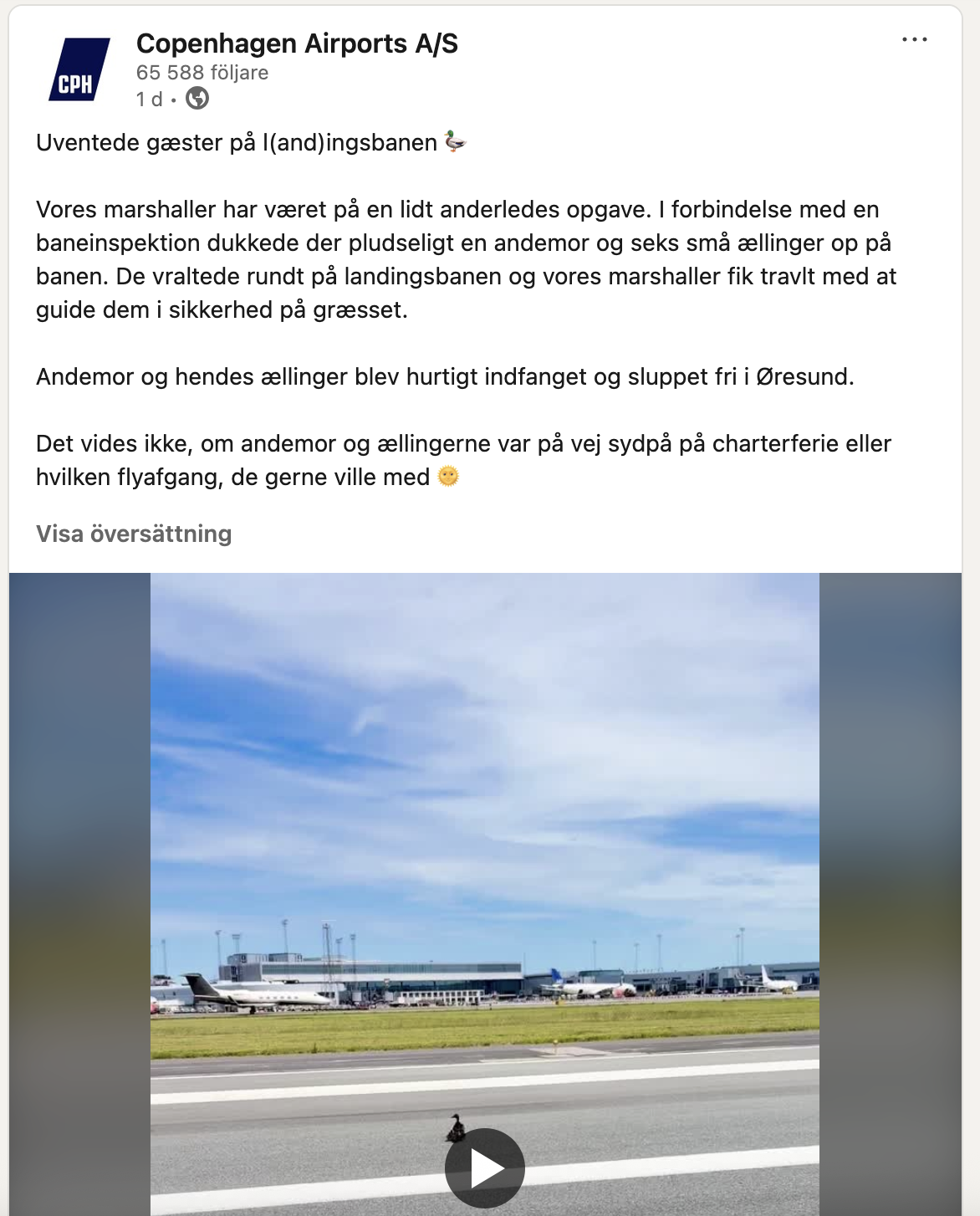 Skärmavbild 2026-07-07 kl. 18.22.08.png