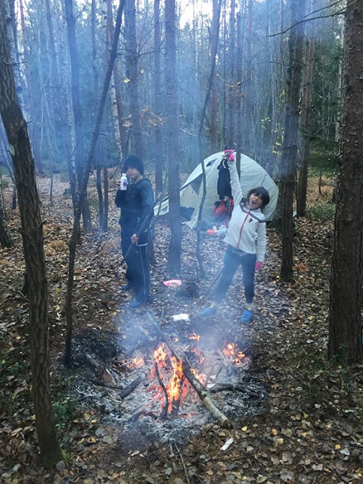 skog1.jpg
