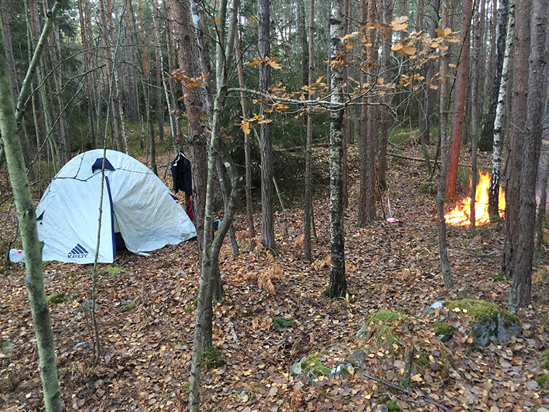 skog2.jpg
