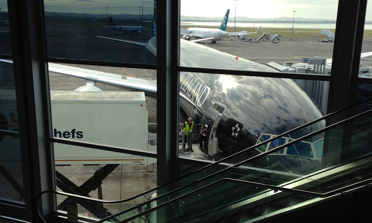 Special_livery_3.jpg