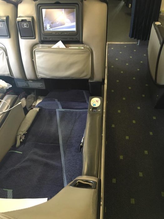 TAP Portugal A330 2.jpg