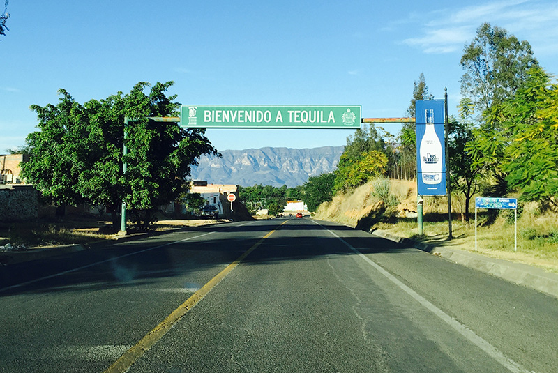 tequila1.jpg
