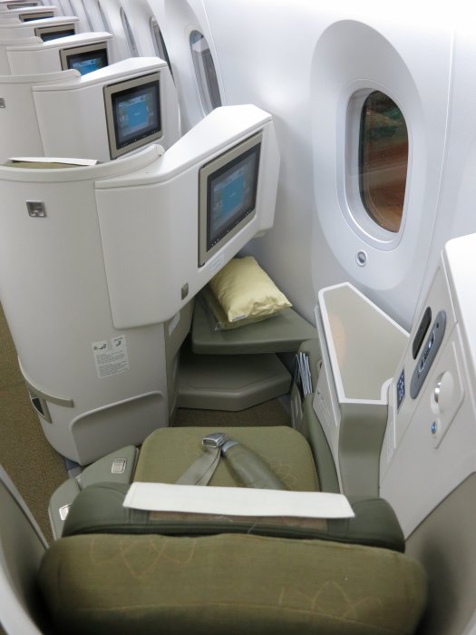 Vietnam Airlines Business class B787 HAN-NRT, 12.JPG