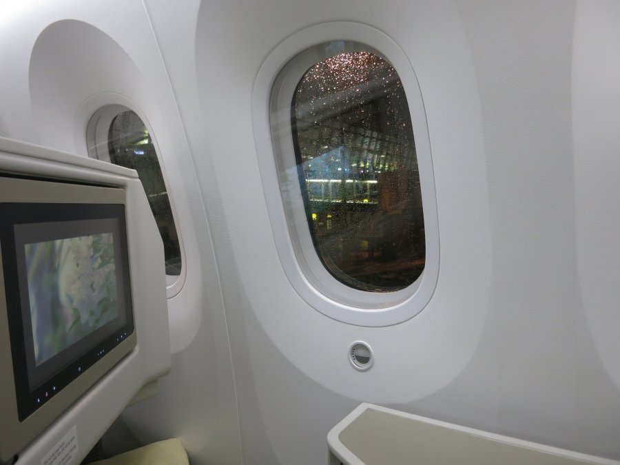 Vietnam Airlines Business class B787 HAN-NRT, 20.JPG